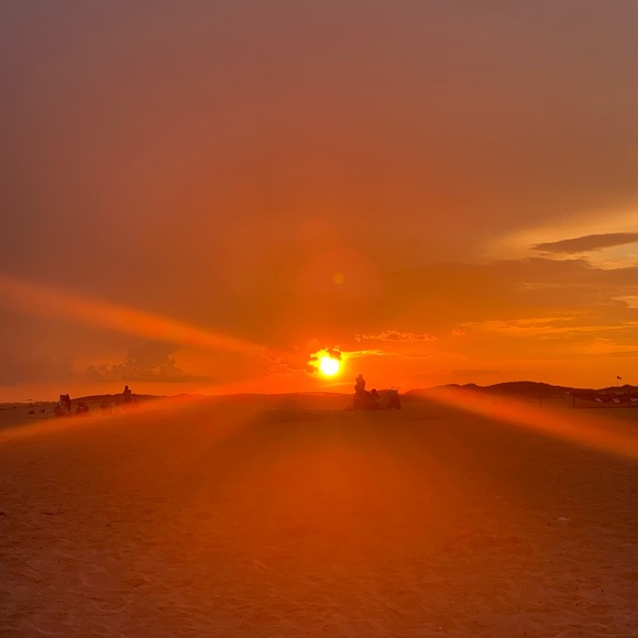 POSH AMBASSADOR - Picture 3 of 3